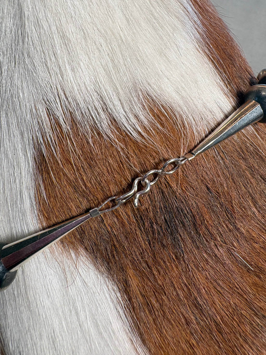 Close-up of a metal horse bit with a chain attached, shown on the side of a brown and white horse's neck hair.